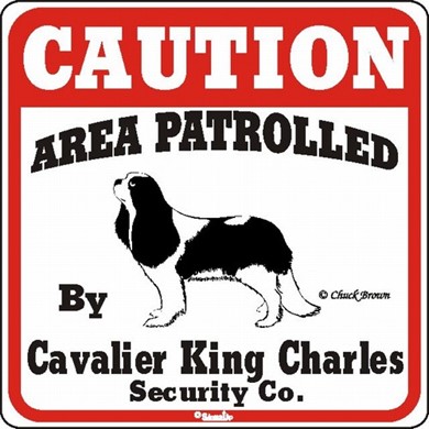 Raining Cats and Dogs | Cavalier King Charles Caution Sign, the Perfect Dog Warning Sign