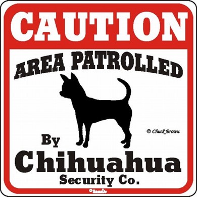 Raining Cats and Dogs | Chihuahua Caution Sign, a Fun Dog Warning Sign