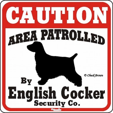Raining Cats and Dogs | English Cocker Caution Sign, the Perfect Dog Warning Sign