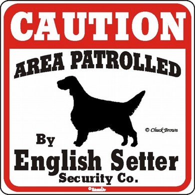 Raining Cats and Dogs | English Setter Caution Sign, the Perfect Dog Warning Sign