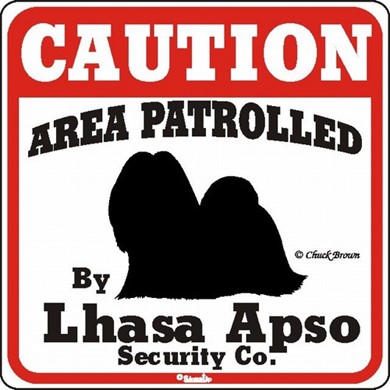 Raining Cats and Dogs | Lhasa Apso Caution Sign