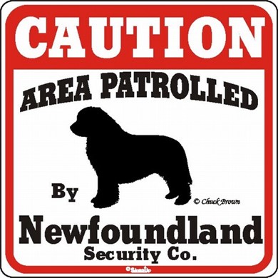 Raining Cats and Dogs | Newfoundland Caution Sign