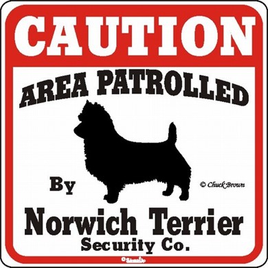 Raining Cats and Dogs | Norwich Terrier Caution Sign