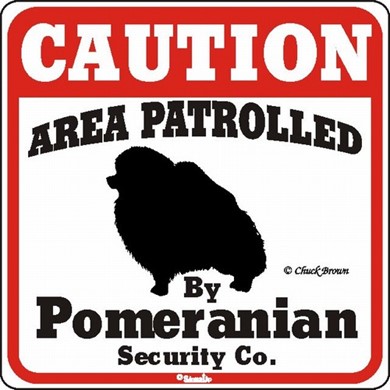Raining Cats and Dogs | Pomeranian Caution Sign