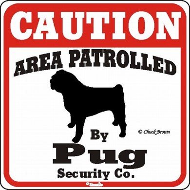 Raining Cats and Dogs | Pug Caution Sign
