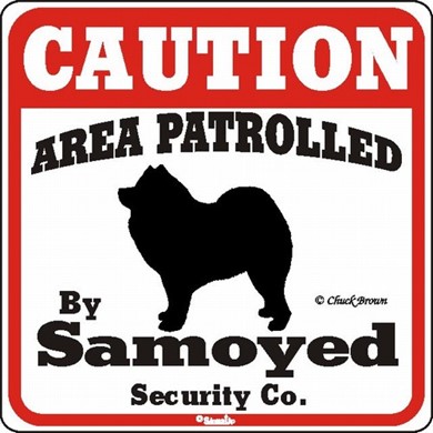 Raining Cats and Dogs | Samoyed Caution Sign