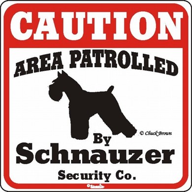 Raining Cats and Dogs | Schnauzer Caution Sign
