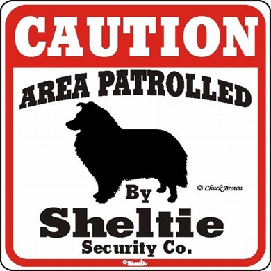 Raining Cats and Dogs | Shetland Sheepdog Caution Sign