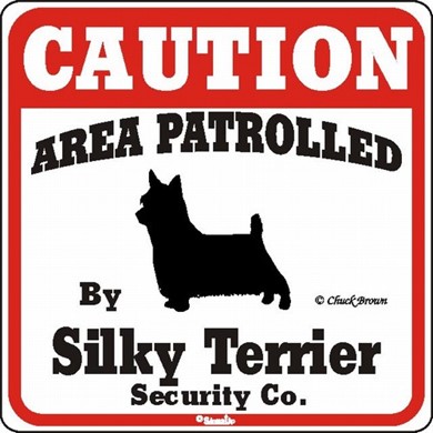 Raining Cats and Dogs | Silky Terrier Caution Sign