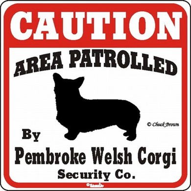 Raining Cats and Dogs | Welsh Corgi Pembroke Caution Sign