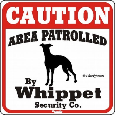 Raining Cats and Dogs | Whippet Caution Sign