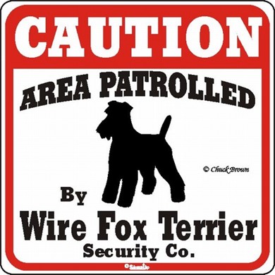 Raining Cats and Dogs | Wire Fox Terrier Cution Sign