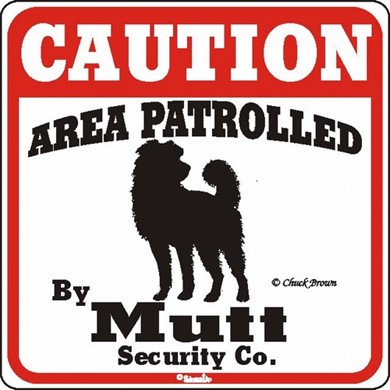 Raining Cats and Dogs | Mutt Caution Sign