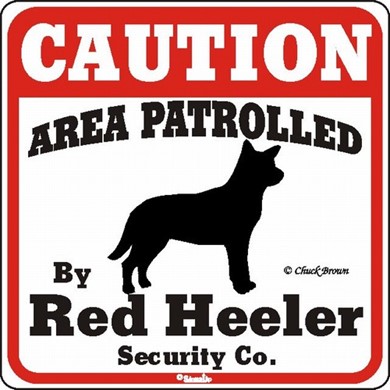 Raining Cats and Dogs | Red Heeler Caution Sign
