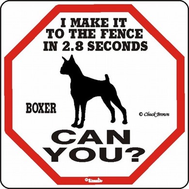 Raining Cats and Dogs | Boxer Make It to the Fence in 2.8 Seconds Sign