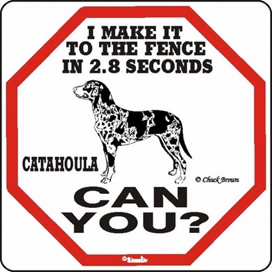 Raining Cats and Dogs | Catahoula Make It to the Fence in 2.8 Seconds Sign