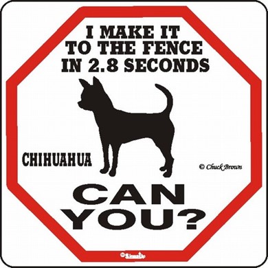 Raining Cats and Dogs | Chihuahua Make It to the Fence in 2.8 Seconds Sign