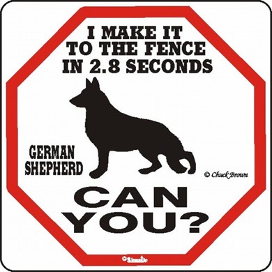 Raining Cats and Dogs | German Shepherd Make It to the Fence in 2.8 Seconds Sign
