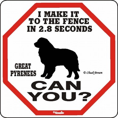 Raining Cats and Dogs | Great Pyrenees Make It to the Fence in 2.8 Seconds Sign