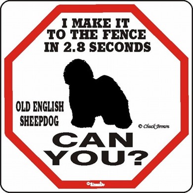 Raining Cats and Dogs | Old English Sheepdog Make It to the Fence in 2.8 Seconds Sign