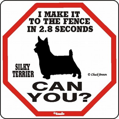 Raining Cats and Dogs | Silky Terrier Make It to the Fence in 2.8 Seconds Sign