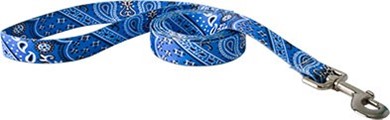 Raining Cats and Dogs | Bandana Print Leash