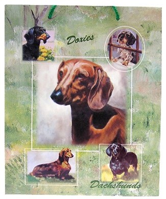Raining Cats and Dogs | Dachshund Gift Bag