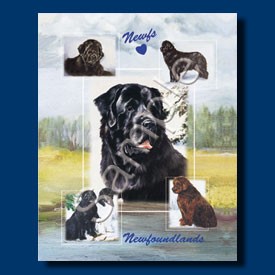 Raining Cats and Dogs | Newfoundland Gift Bag