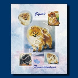 Raining Cats and Dogs | Pomeranian Gift Bag