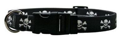 Raining Cats and Dogs | Skull Print Collar