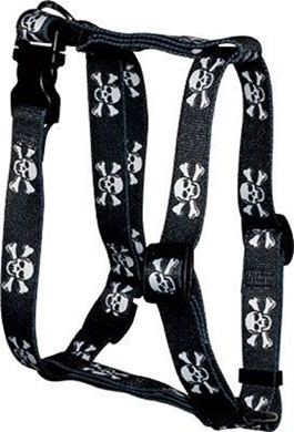 Raining Cats and Dogs | Skull Print Harness