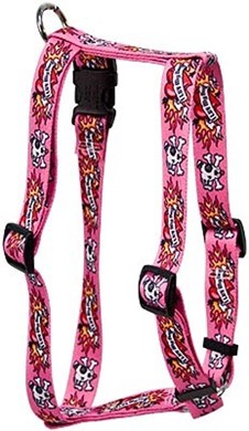 Raining Cats and Dogs | Luv My Dog Pink Harness