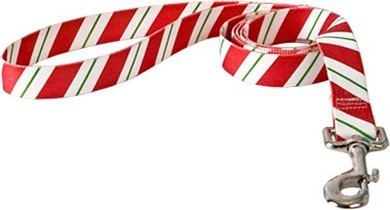 Raining Cats and Dogs | Peppermint Stick Leash