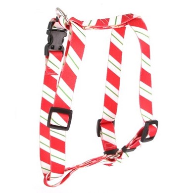 Raining Cats and Dogs | Peppermint Stick Harness