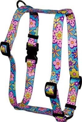 Raining Cats and Dogs | Flower Power Harness