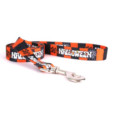 Raining Cats and Dogs | Happy Halloween Leash