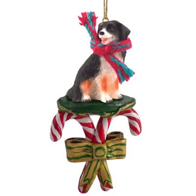 Raining Cats and Dogs | Candy Cane Bernese Mountain Dog Christmas Ornament