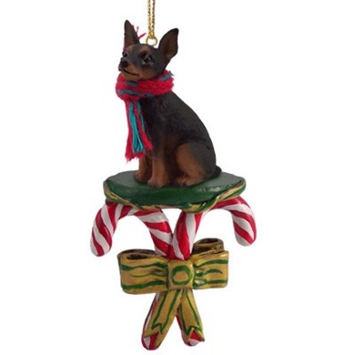 Raining Cats and Dogs |Miniature Pinscher Dog Candy Cane Christmas Ornament