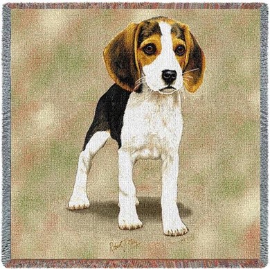 Raining Cats and Dogs | Beagle Puppy Throw