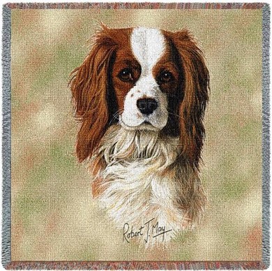 Raining Cats and Dogs | Cavalier King Charles Throw