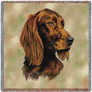 Raining Cats and Dogs | Irish Setter Throw