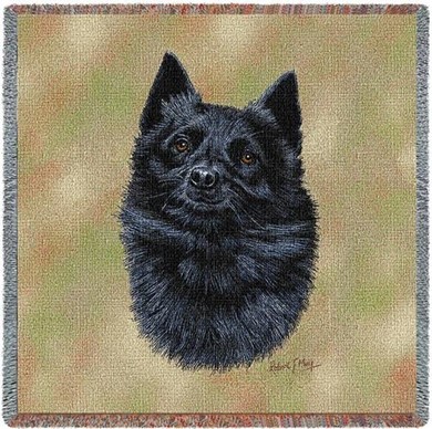 Raining Cats and Dogs | Schipperke Throw