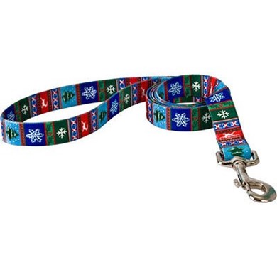 Raining Cats and Dogs | Alpine Christmas Leash