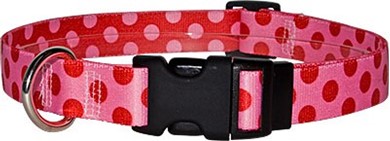Raining Cats and Dogs | Valentine Polka Collar, Made in the USA