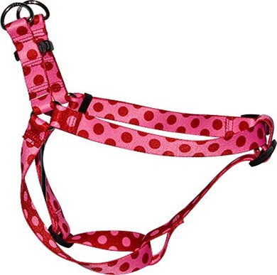 Raining Cats and Dogs | Valentine Polka Step-In Harness, Made in the USA