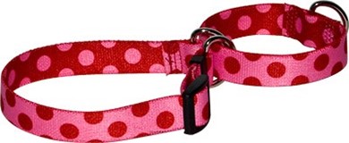 Raining Cats and Dogs | Valentine Polka Martingale Collar