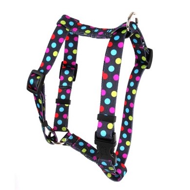 Raining Cats and Dogs | Gumballs Harness