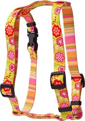 Raining Cats and Dogs | Green Bouquet Harness