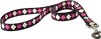 Raining Cats and Dogs | Argyle Leash