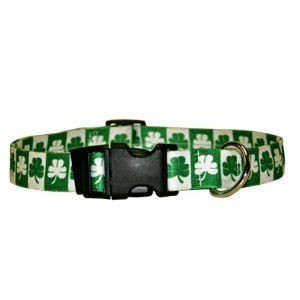 Raining Cats and Dogs | Shamrock Collar, the Perfect St. Patrick's Day Collar